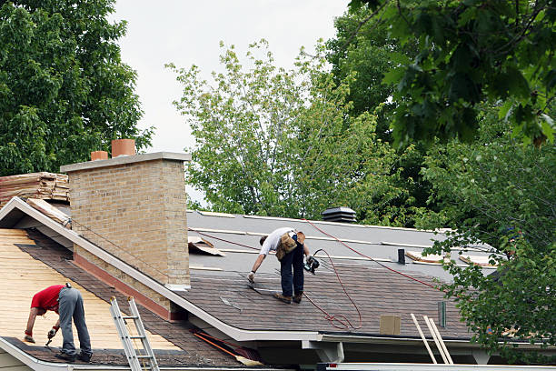 Roof Gutter Cleaning in Oak Grove, AL
